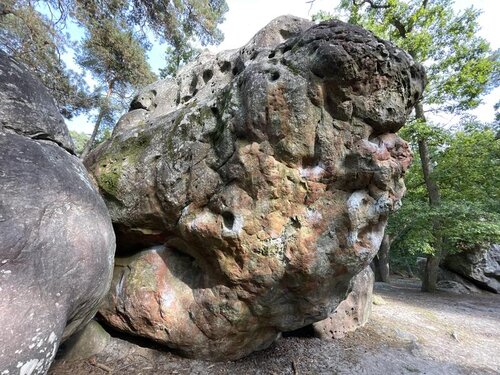 Image of Orange Mécanique (assis) (7b)